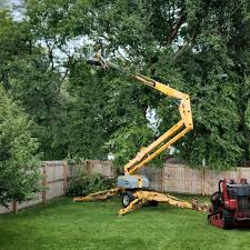Lawn Pest Prevention in Edwards, CO