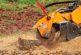 Best Soil Testing and Treatment  in Edwards, CO
